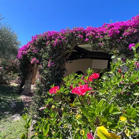 Villa Girasole Porto Rafael